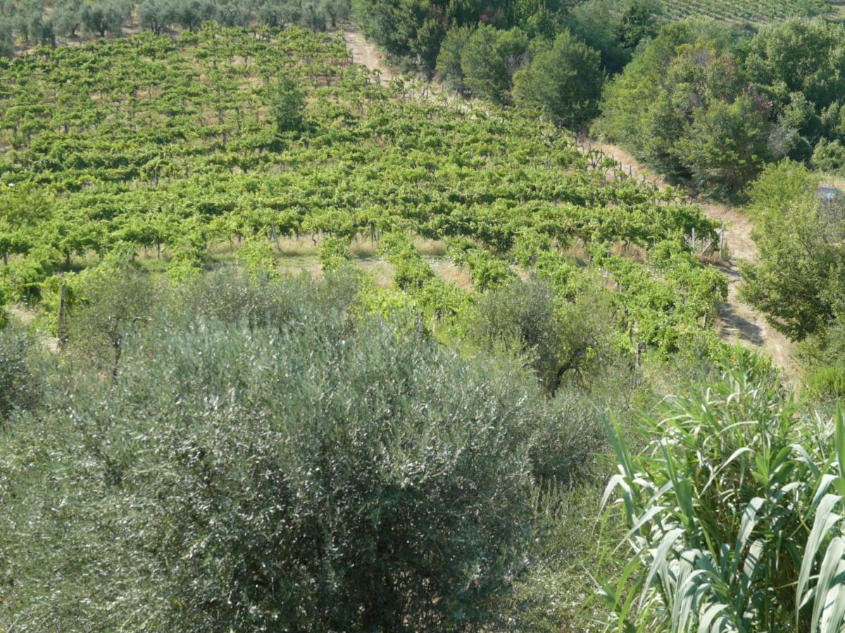 Agriturismo Santa Croce San Gimignano Exteriér fotografie